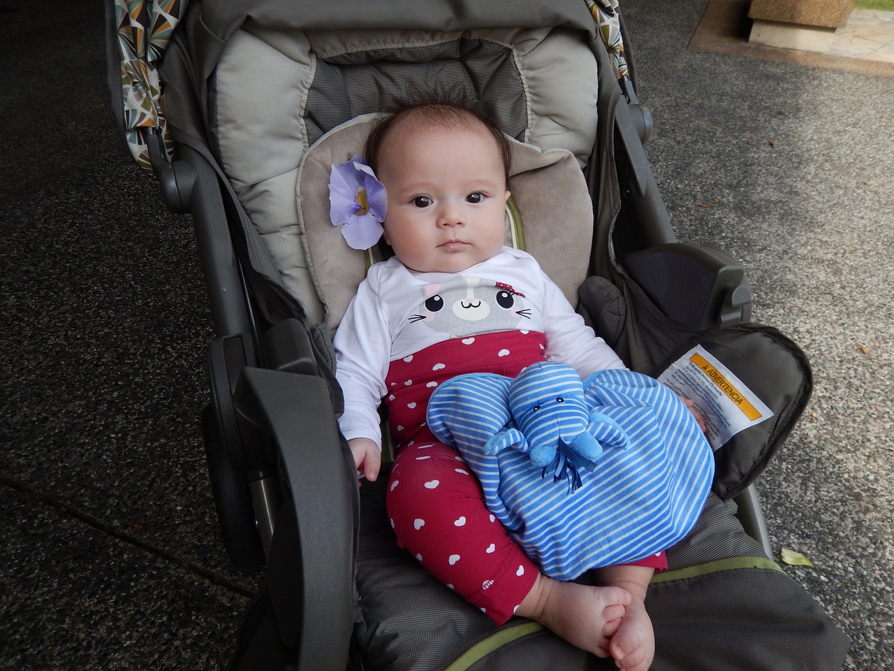 生试管代生的孩子可以用老公的社保吗(生试管代生的孩子能用老公社保吗) 生试管代生的孩子可以用老公的社保吗(生试管代生的孩子能用老公社保吗)